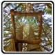 Icon Magic Forest: WunderWald