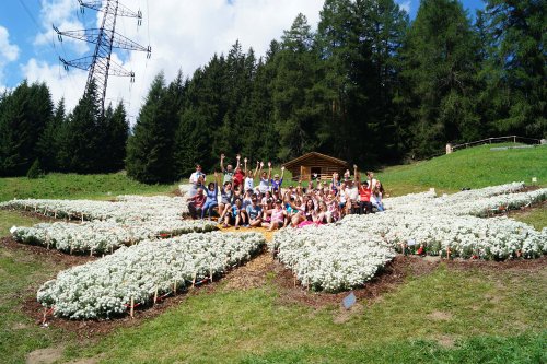 Bild: 