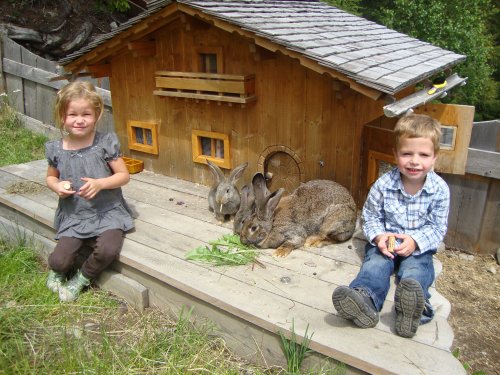 Bild: 