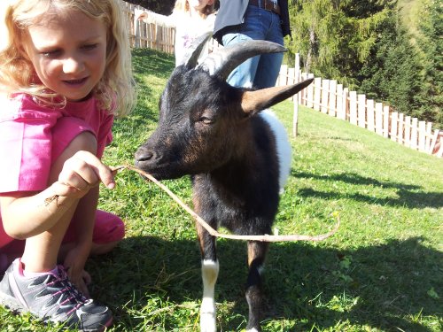 Bild: 