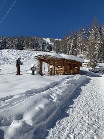 Bild: 